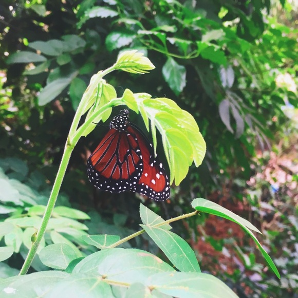 Meet the Posher Other - Jenée